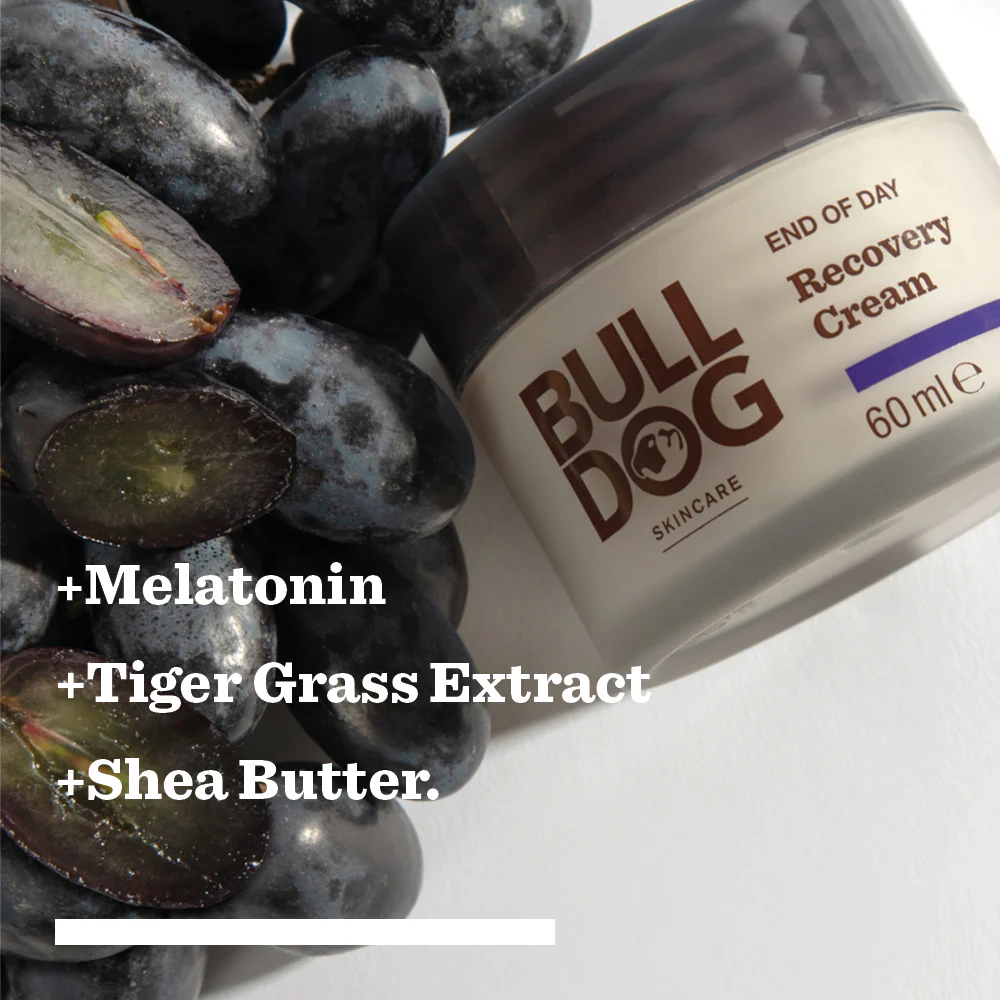 End of Day Recovery Cream - Image 3