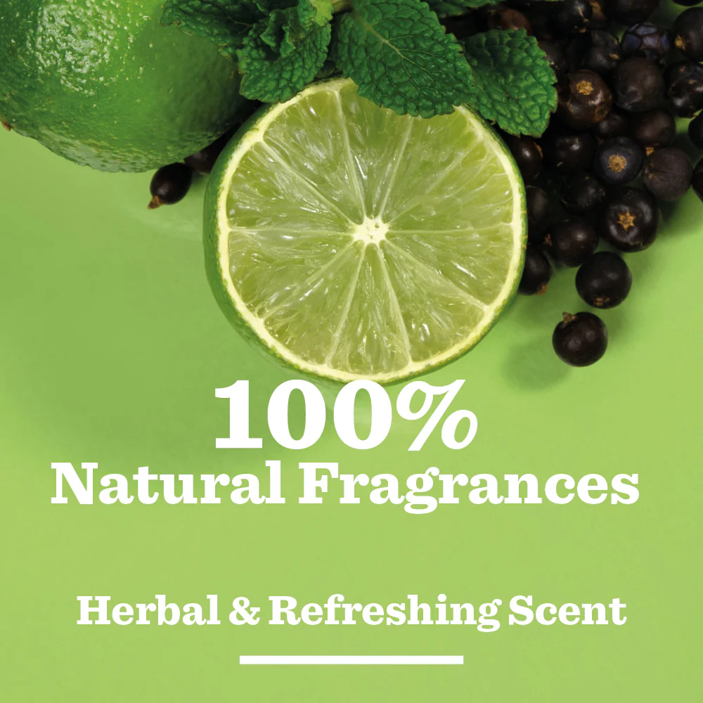 Original Shower Gel - Image 3