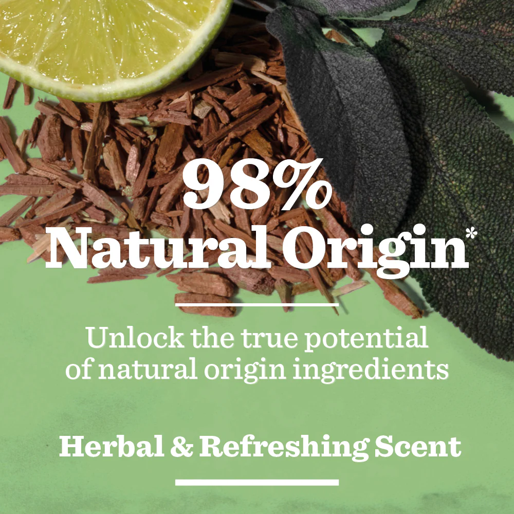 Original Spray Deodorant - Image 4