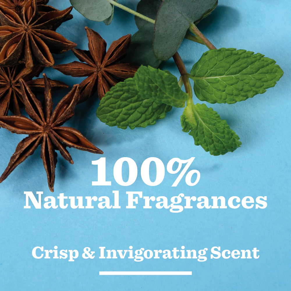 Peppermint & Eucalyptus Natural Deodorant - Image 3